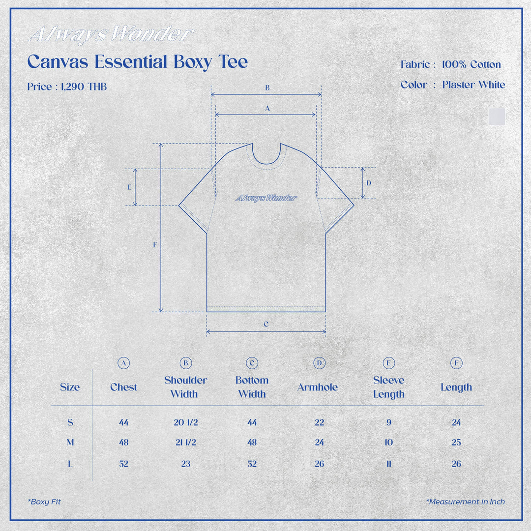 Canvas Essential Boxy Tee | Plaster White