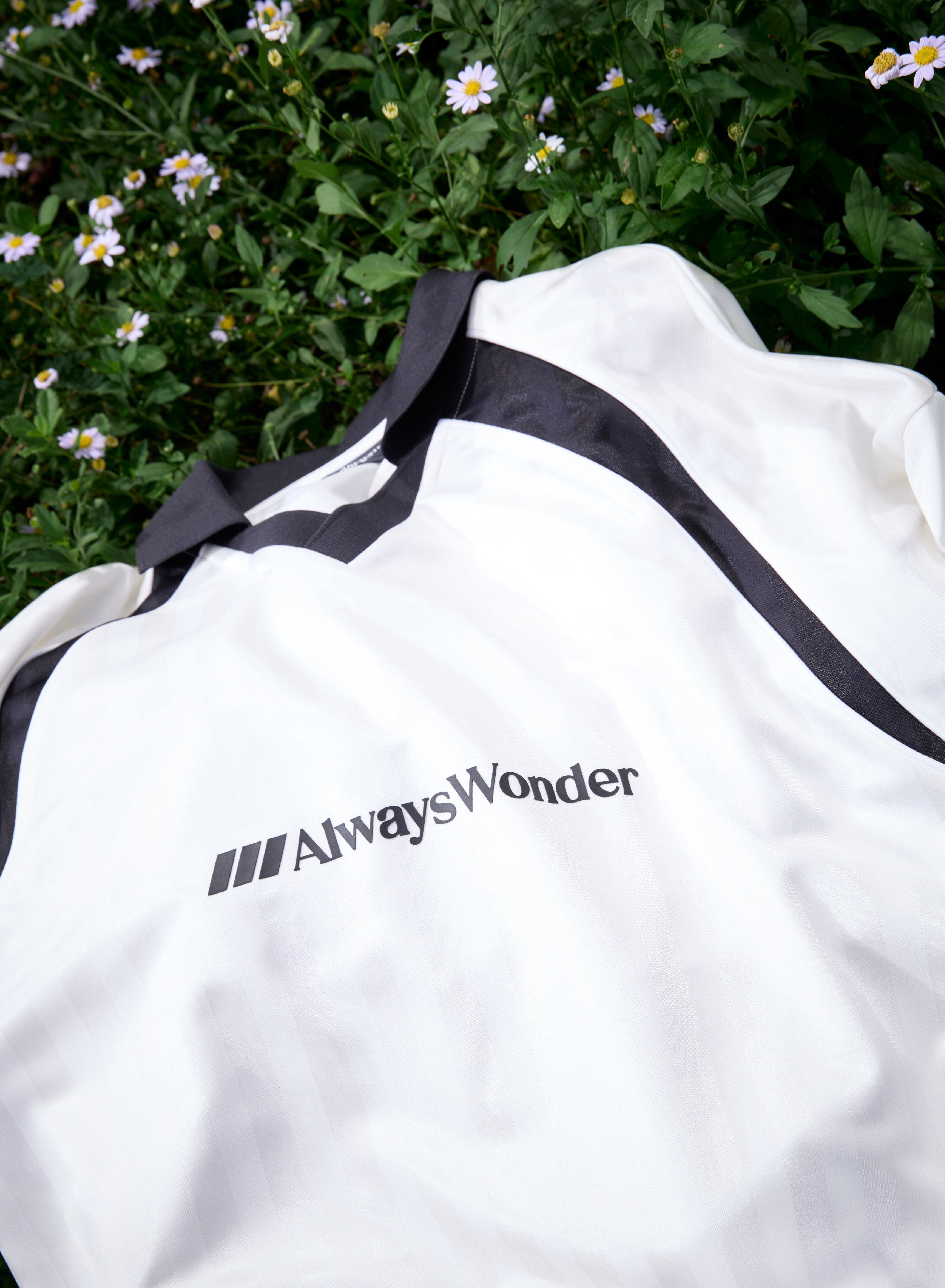 AlwaysWonder x Lingling Kwong