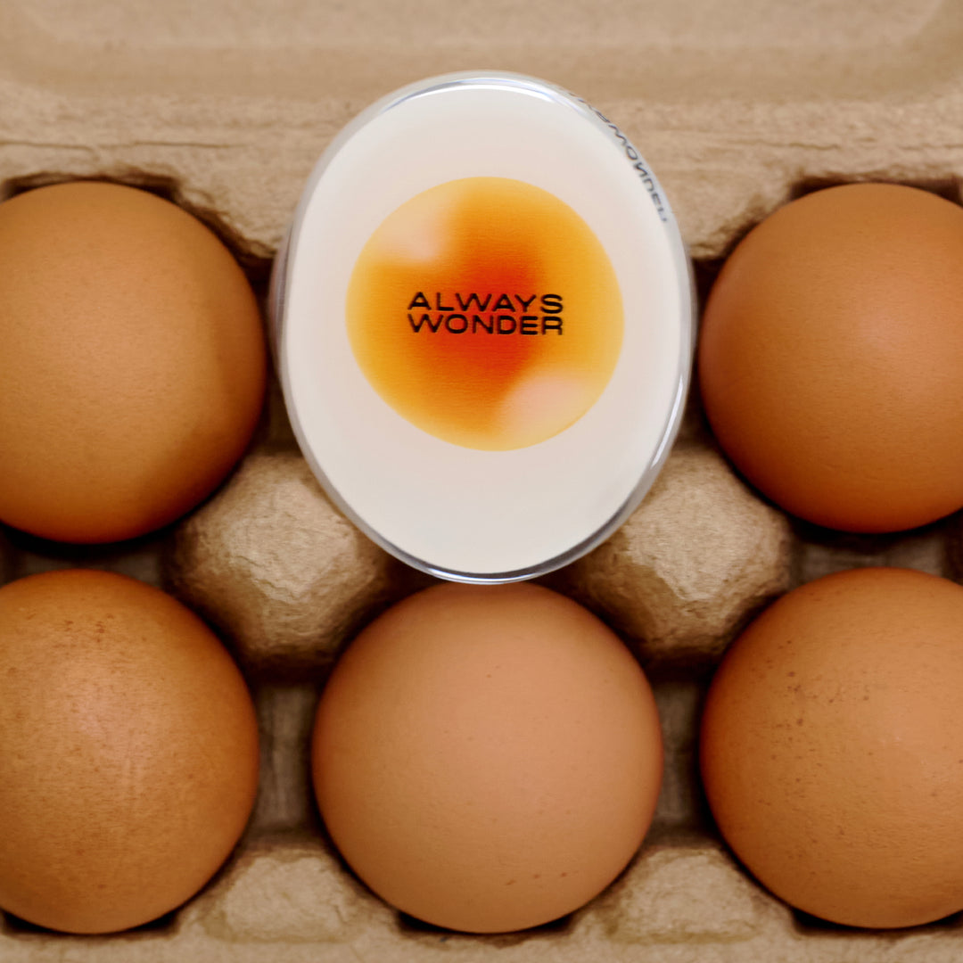 Sunny Egg GripTok | Egg Yolk