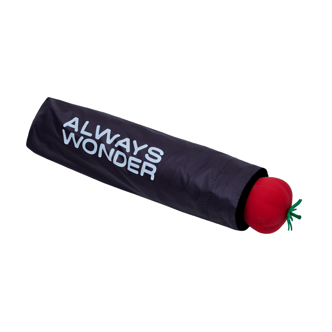 (Pre-order) Tomato Twist Umbrella | Midnight Black