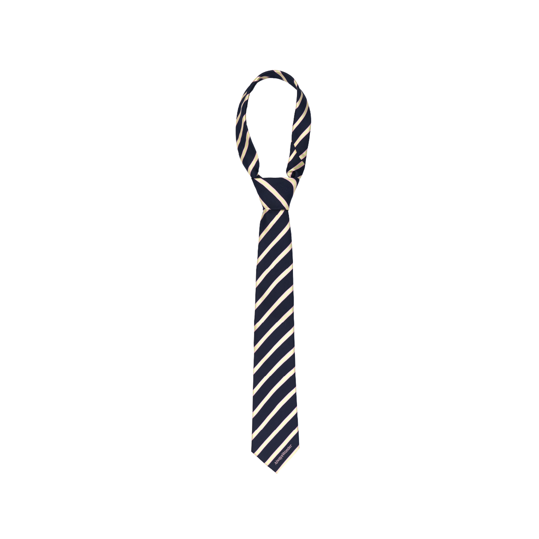 Meeting Tie | Navy-Ivory