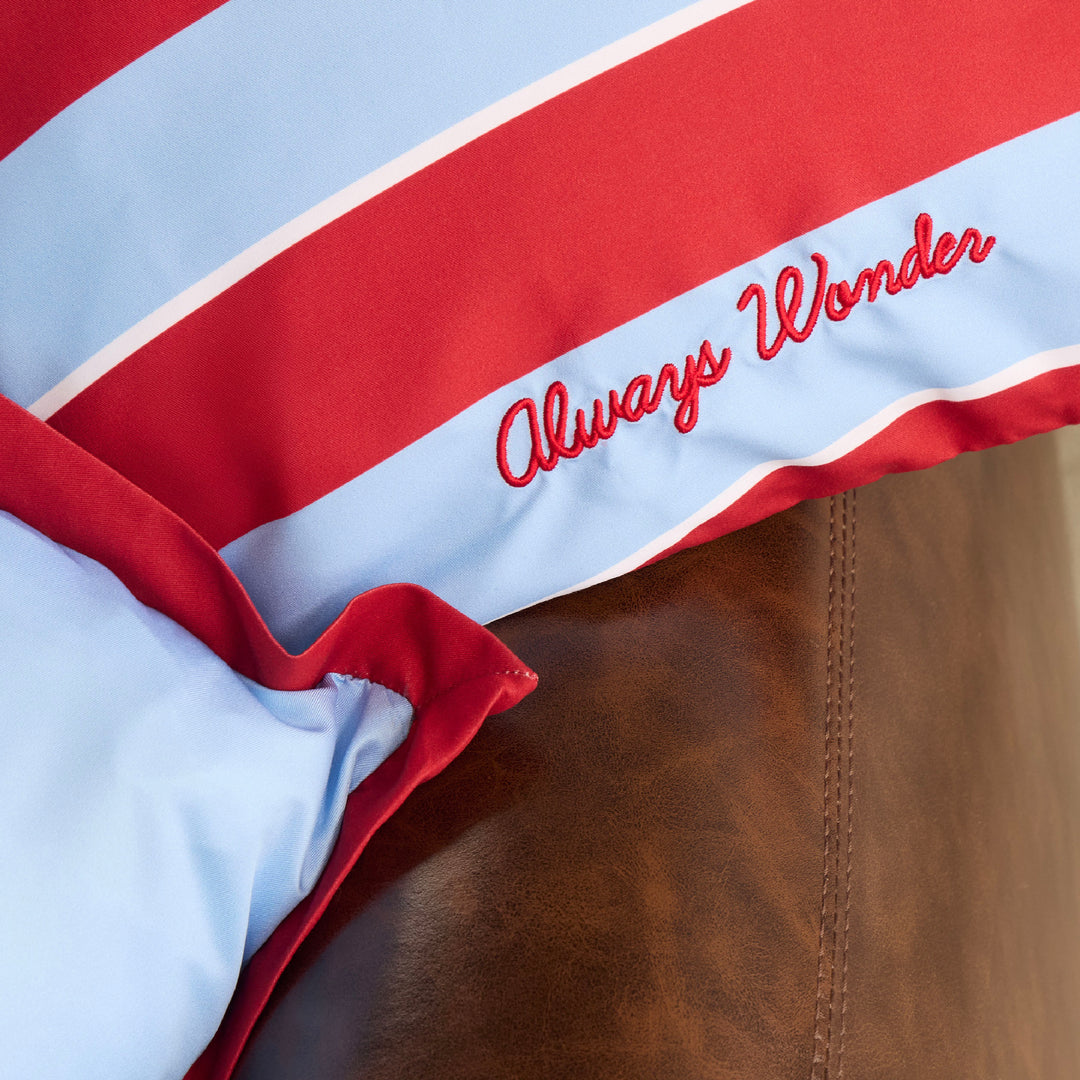 Homey Comfort Pillow Case | Clear sky blue with cherry accent