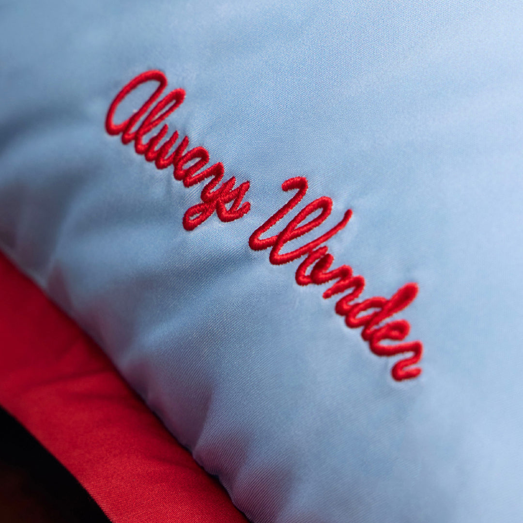 Easy Soft Pillow Case | Sky blue with cherry accent